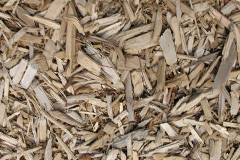 biomass boilers Mile Oak